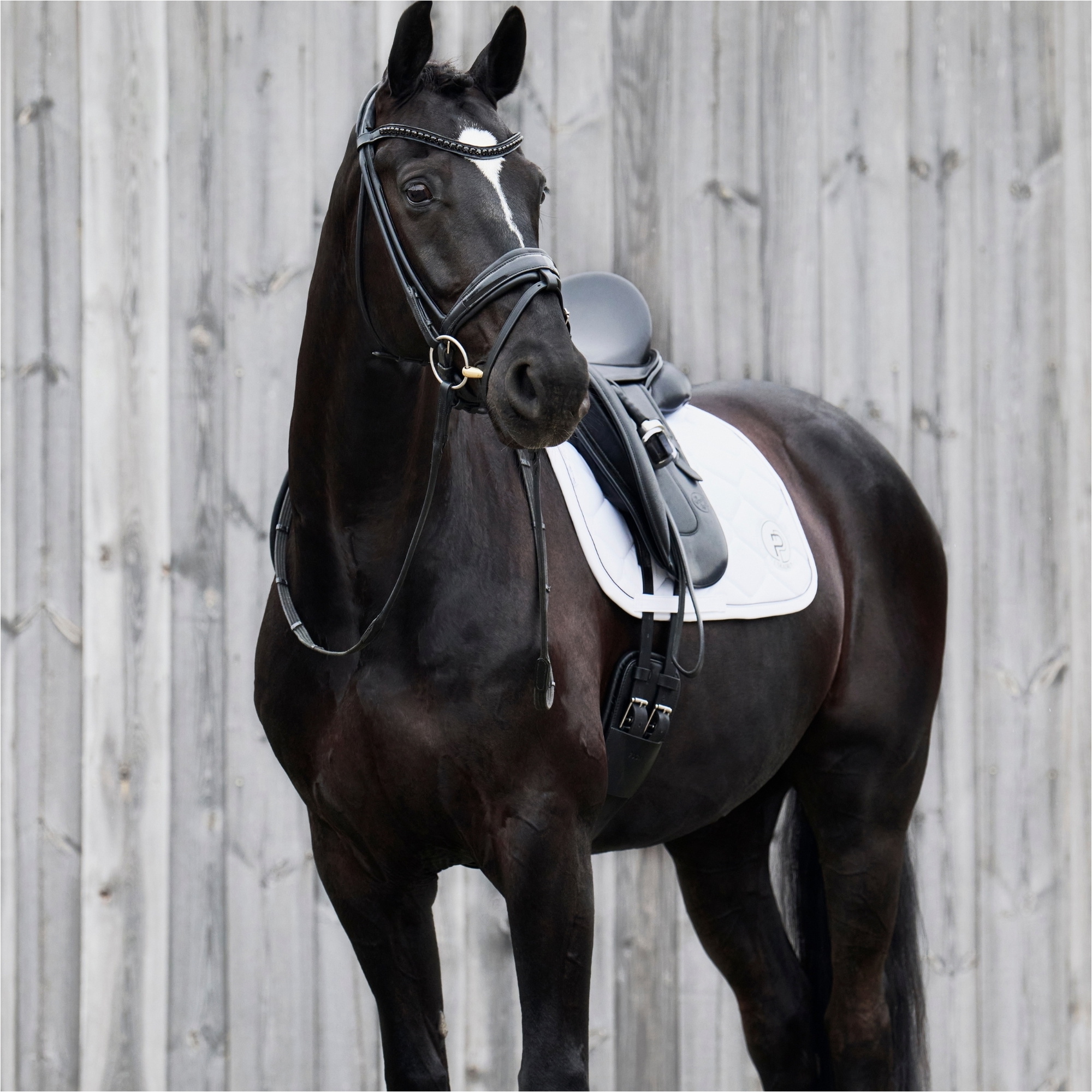 Eskadron Softshell Emblem Saddle Cloth 215340 526 - White